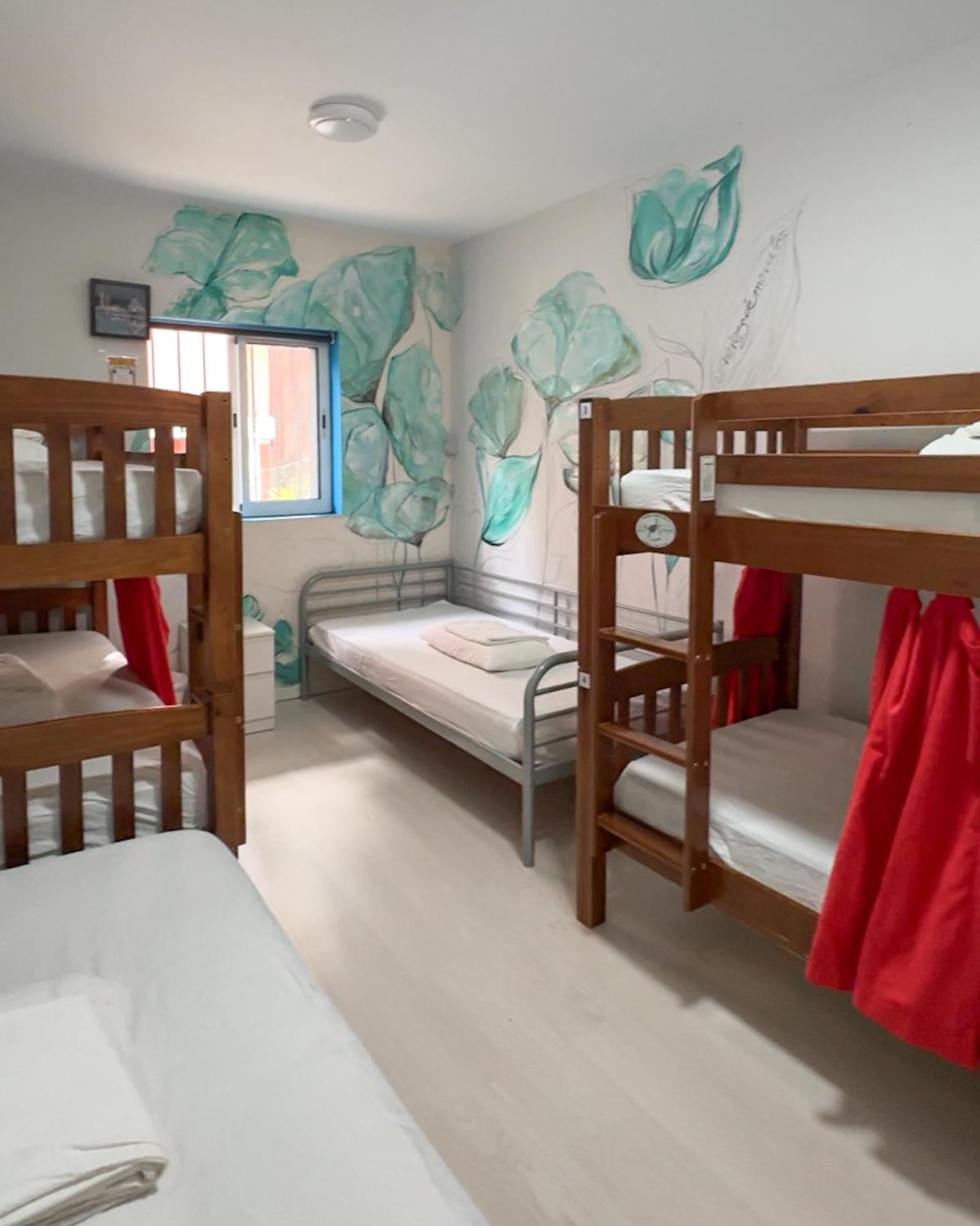 Tenerife Experience Hostel Santa Cruz de Tenerife Exterior photo